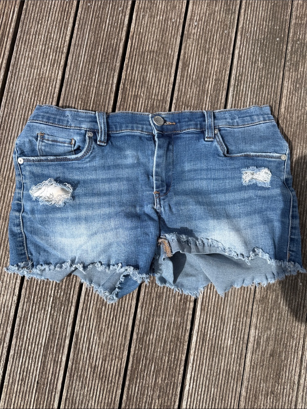 Blank NYC The Astor Women's Distressed Blue Denim Cutoff Shorts